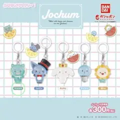 JOCHUM ジェオチャム めじるしアクセサリー2 ヤヌカミ 與那城奨
