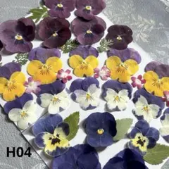 Item thumbnail for item 3b0f0de7-df49-4c01-aa65-395565724d37