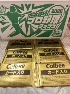 カルビー プロ野球チップス 2026 第2弾 6袋セット