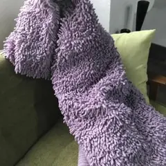 Item thumbnail for item 1f16c6f6-f632-4472-8dd1-706d46efa550