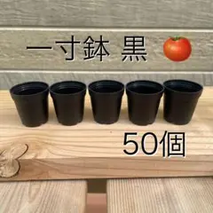 2026年最新】植木鉢 3.5号の人気アイテム - メルカリ