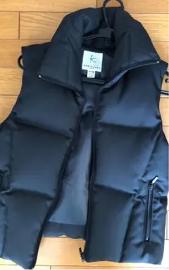 組曲のダウンベスト