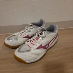 バドミントンシューズ