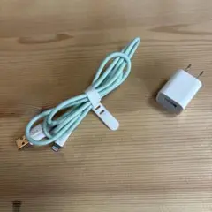 ミントグリーン Lightningケーブル ACアダプタ　アップル純正