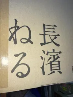 （新品・未開封）長濱ねる 特装版 – 2025/9/4 高橋 ヨーコ (写真)