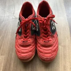 Item thumbnail for item 1cf889c7-1e5c-4155-aca9-92c4fb38e916