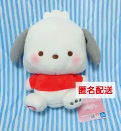 ⑤ポチャッコ　ミルキーボアBIGぬいぐるみ　サンリオキャラクターズ