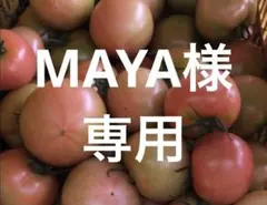 MAYA様　専用