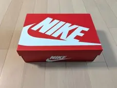 NIKE WOMEN'S NIKE ZOOM 2K シューズボックス サイズ11