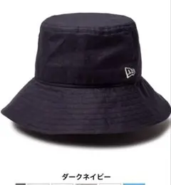 Item thumbnail for item 78cfaa26-2e7d-4209-bcc8-0b5567814876