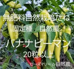 ともたん様 リクエスト 3点 まとめ商品