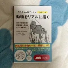 モルフォ人体デッサン