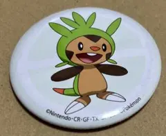 ポケットモンスター　缶バッジ　コレクション