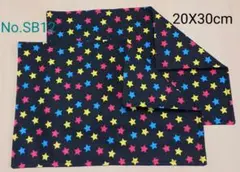 新品ランチョンマット2枚セット《No. SB12》