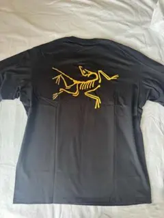新品レア ARC'TERYX system_a コパルバードTシャツ Lブラック - メルカリ
