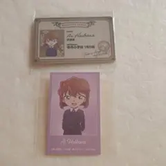 名探偵コナン 灰原哀 イラストカード& 　プラスチックカード　2枚セット