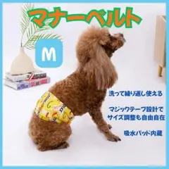 Item thumbnail for item 3afe9676-279a-42c9-8735-25b597b0830f