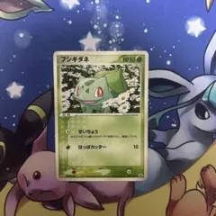 ポケモンカード 5枚セット ピカチュウ　フシギダネ　プロモ 2025年最新】フシギダネプロモの人気アイテム - メルカリ