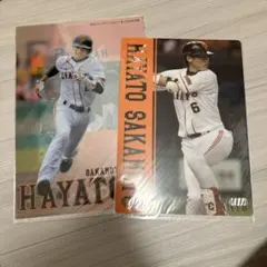 Item thumbnail for item 51132ee0-333b-4e64-8866-72e303b87b47