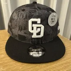 Item thumbnail for item 6b89555c-c8f0-4e6c-a02b-4b9b68e2baed