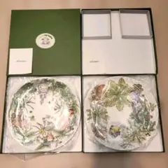 新品❗Noritake となりのトトロ 皿 2枚セット　スタジオジブリ