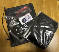 Stray Kids アプグレグッズ　 スキズ