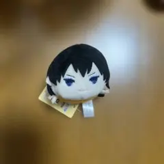 ハイキュー 影山飛雄 もちマス