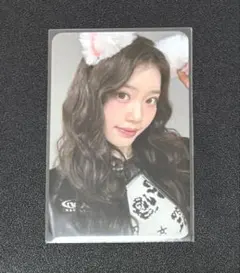 Kep1er シャオティン ケプリ