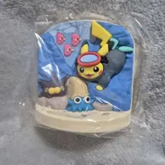 【韓国限定】ポケモン チェジュ 済州島 ランダムマグネット ピカチュウ