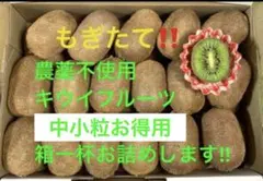 キウイフルーツ24個中小サイズ 農薬不使用　ゆうパケプラス箱入り発送④