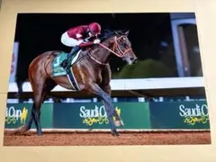 2026年最新】サウジ フォーエバーヤングの人気アイテム - メルカリ