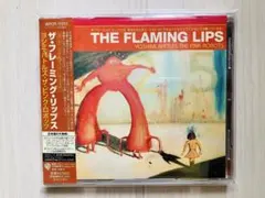 2025年最新】flaming lips レコードの人気アイテム - メルカリ