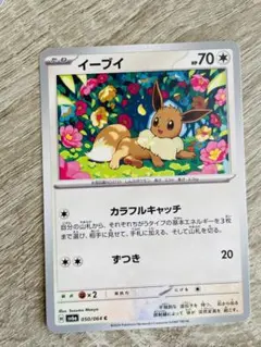 カラフルキャッチ ポケモンジャングル2枚