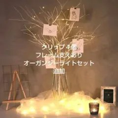 なかの様ウェルカムツリー 白樺ツリー クリスマスツリー ウェルカムスペース