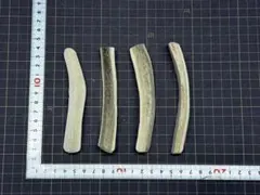 2026年最新】鹿の角加工の人気アイテム - メルカリ