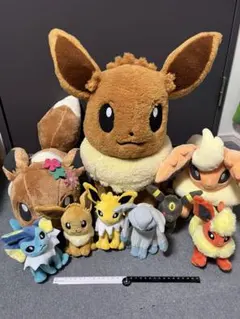 ポケモン ブイズ ポケセン 限定 メモ缶 ドールズ ぬいぐるみイーブイ ポケモン ブイズ ポケセン 限定 メモ缶 ドールズ ぬいぐるみイーブイ