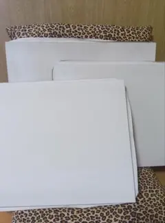 Item thumbnail for item 8b66b507-5deb-4ca0-bbec-8a55a7d306fb