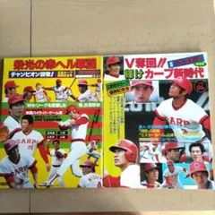 V2！やったぜ赤ヘル 広島東洋カープ30年の歩み」LPレコード