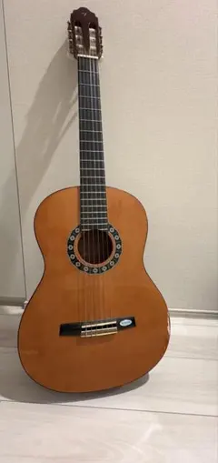 寺田楽器 アコースティックギターFD-13 ハードケース付き　1911-03-2 寺田楽器 Morris アコースティックギター FD-13 1911-02-1 - メルカリ