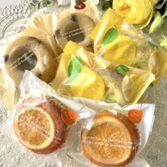 愛媛 ジュリアン おひさまレモン・オレンジケーキ・焼きドーナツマロンʕ•ᴥ•ʔ