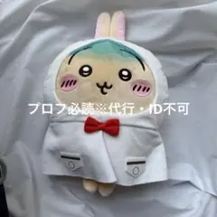 ちいかわ 雨の日 BIG ぬいぐるみ うさぎのサムネイル