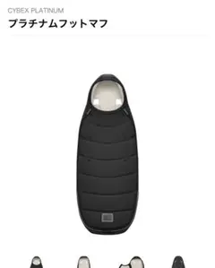 Item thumbnail for item 7d96f8cf-12c7-4a1c-8910-34c500749894