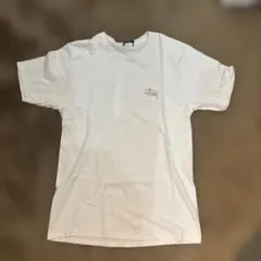 Stussy ホワイト Tシャツ Mサイズ