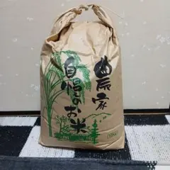 宮崎産「こしひかり」昨年収穫の自家用米 10キロから - メルカリ