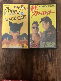 2026年最新】ブラックキャッツdvdの人気アイテム - メルカリ