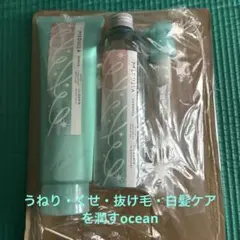 【新品・未使用】MEDULLA シャンプー リペア セット　oceanのサムネイル