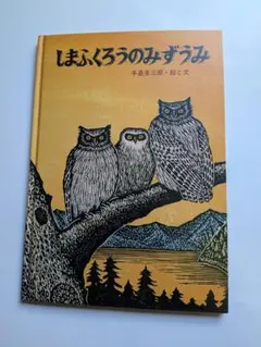 しまふくろうのみずうみ ビックブック - メルカリ