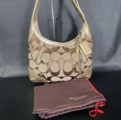 Coach Signature Hobo Bag