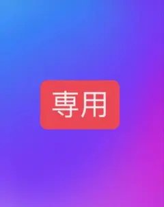 ごんちゃん様　専用