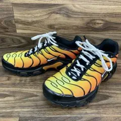 中古 Nike Air Max Plus 